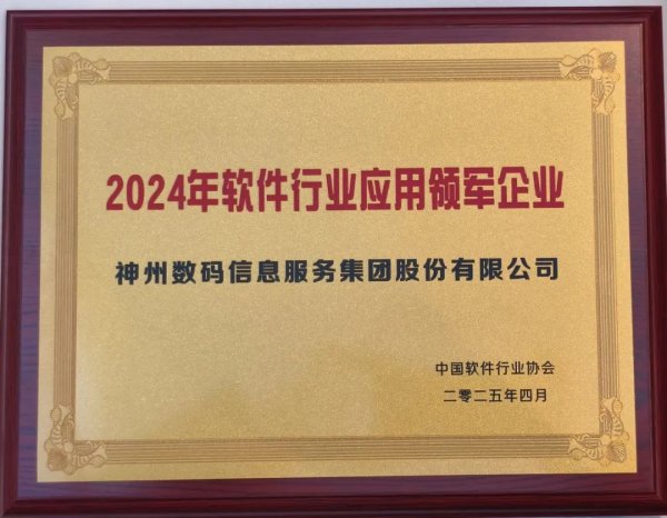 炒股杠杆 神州信息荣获2024年软件行业应用领军企业